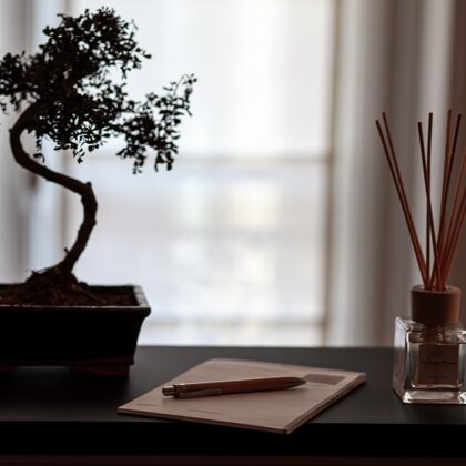 Le Nouveau Monde 安らぎのひととき