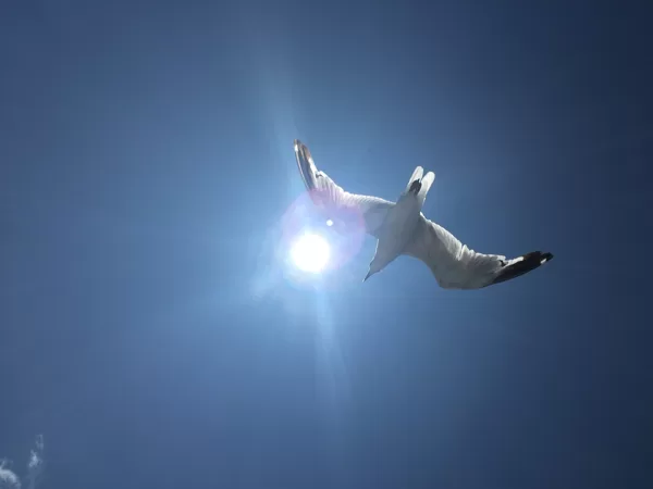 lâcher prise
