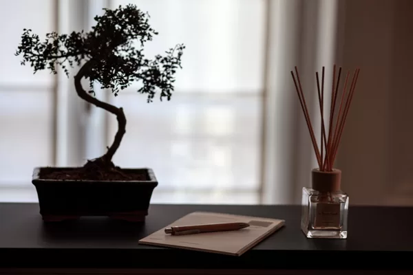 Le Nouveau Monde 安らぎのひととき